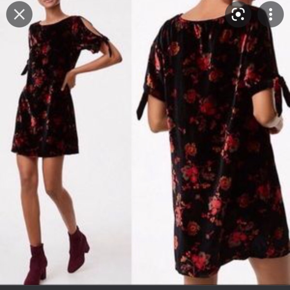 Loft velvet minidress